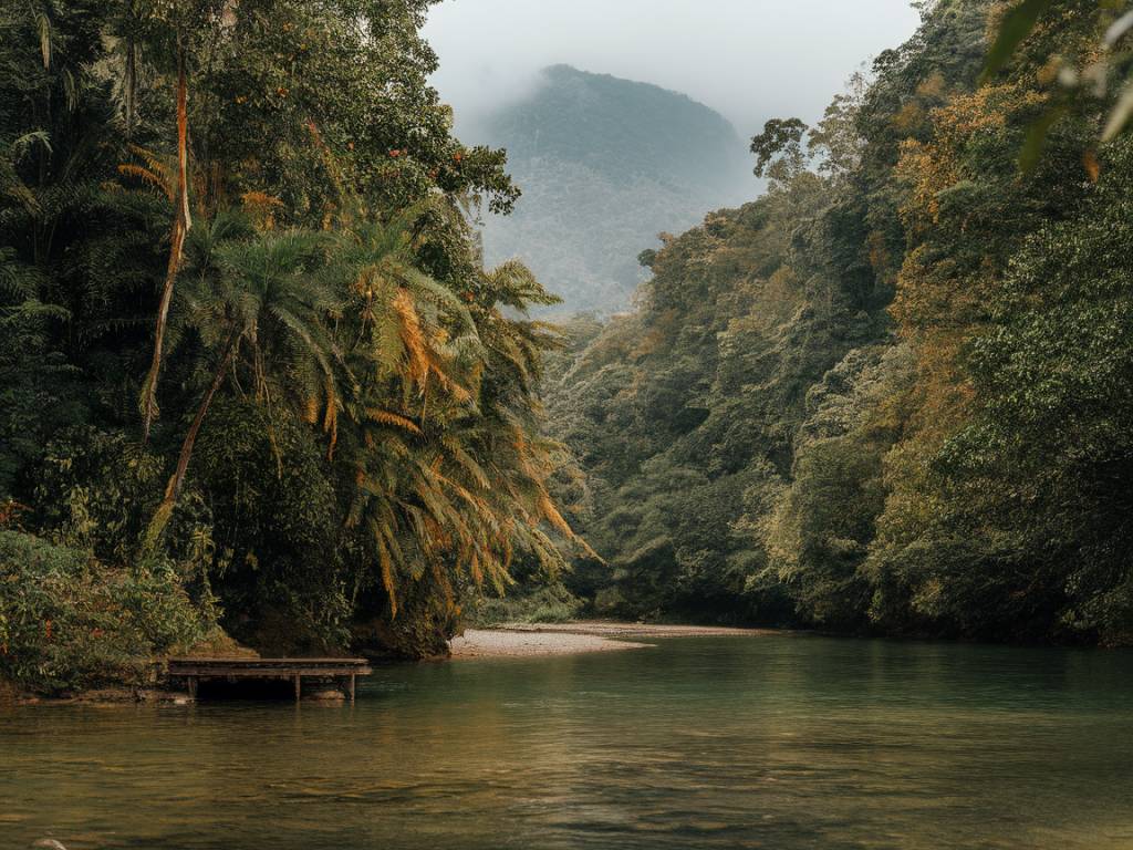 A preservação da Amazônia: como o turismo pode ser aliado na conservação